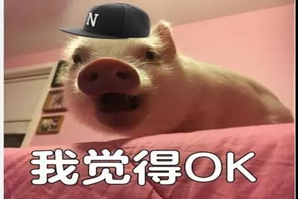 哇！湖南高校惊现“粉嫩”宿舍，网友看完流下羡慕的泪…丨饭间读本