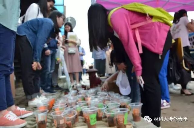 让种子落地 让梦想发芽 让种子落地 让梦想发芽