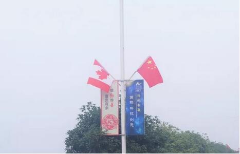 当星星遇见枫叶,邂逅最温暖的“红” 当星星遇见枫叶,邂逅最温暖的“红”