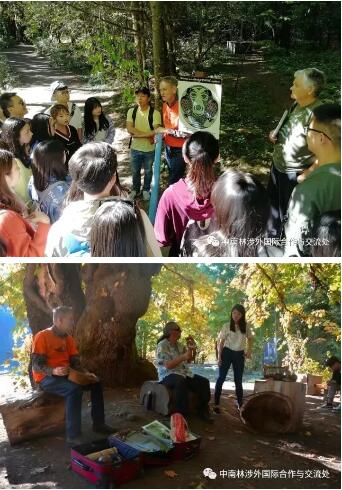 CAG082团--充满艺术气息的第4天 CAG082团--充满艺术气息的第4天