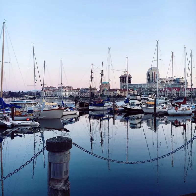 周末你好 周末你好