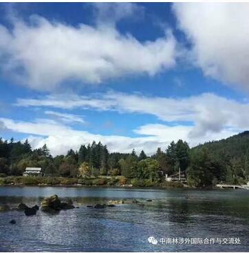 Bowen岛一日游 Bowen岛一日游