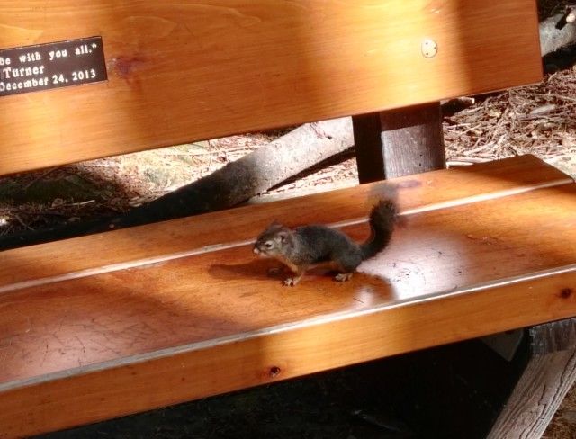 温哥华—我们的时光 温哥华—我们的时光