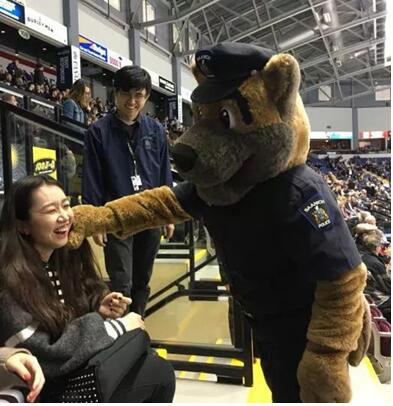 刺激!冰球场上的美加大战震撼上演!——The battle of ice world 刺激!冰球场上的美加大战震撼上演!——The battle of ice world