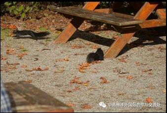 we are in Fort Langley we are in Fort Langley