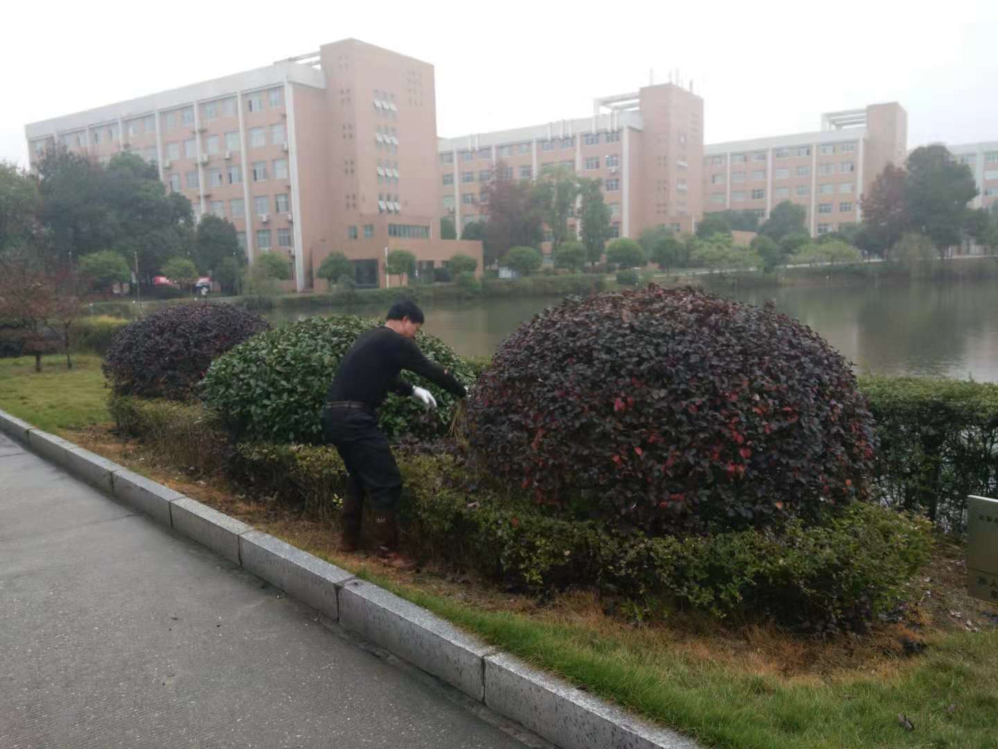 技能大赛展身手 后勤服务显情怀 技能大赛展身手 后勤服务显情怀