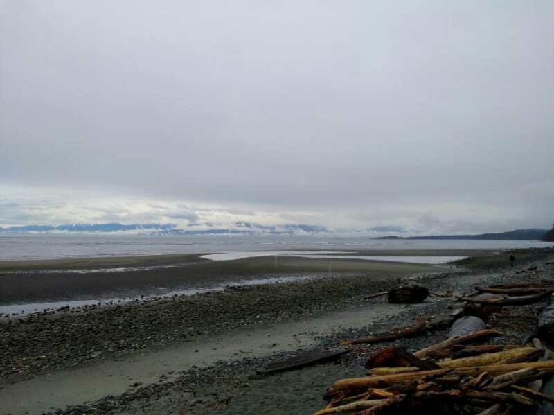 【海外课堂】这绝不是享受,是一种人生体验 【海外课堂】这绝不是享受,是一种人生体验