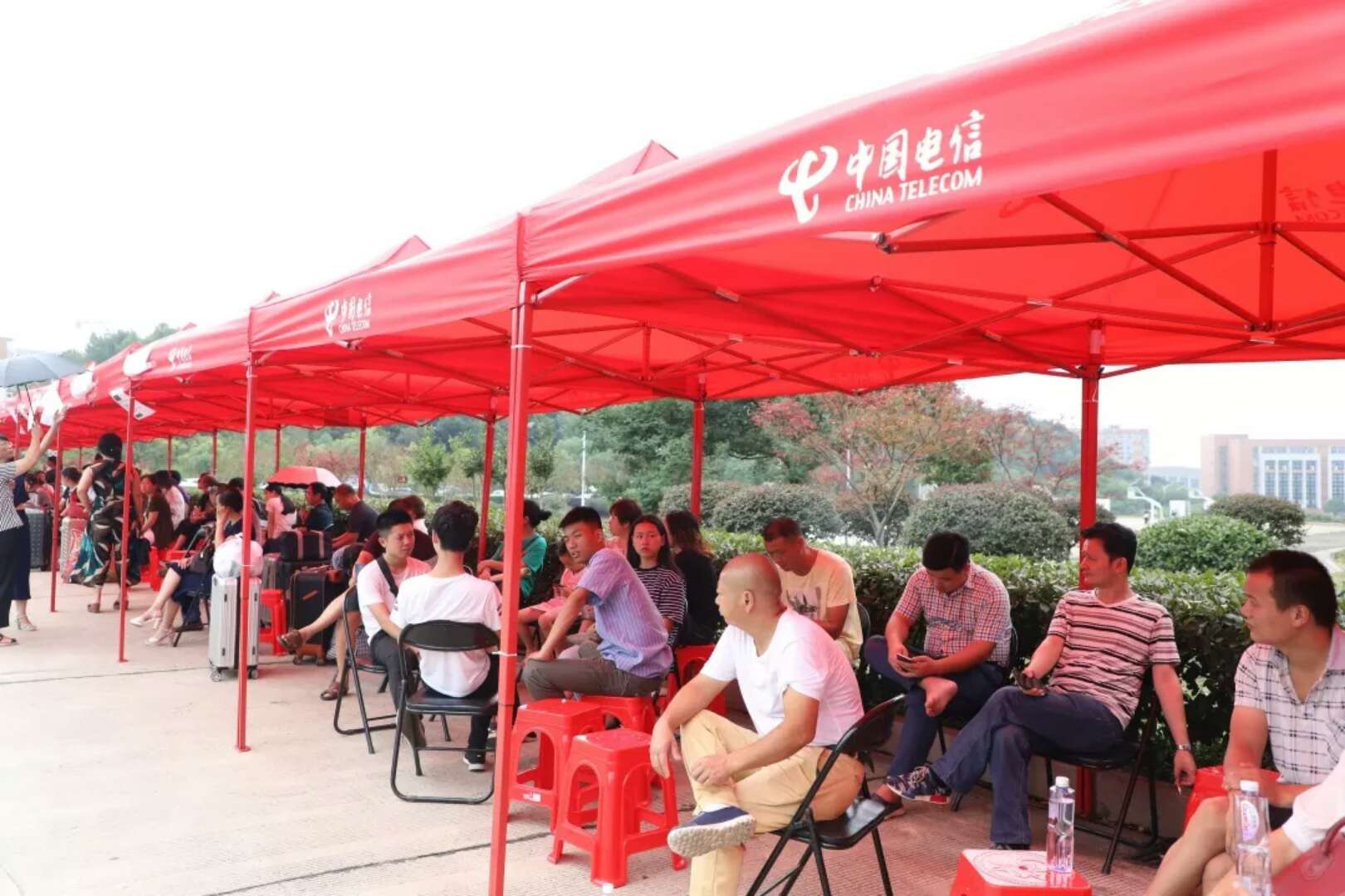 在涉外世界触手可及,林科大涉外喜迎八方学子 在涉外世界触手可及,林科大涉外喜迎八方学子