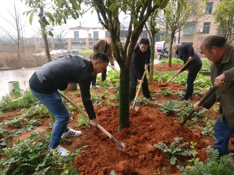 早春种得一抹绿 更待金秋丹桂香|| 后勤处开展春季植树活动 早春种得一抹绿 更待金秋丹桂香|| 后勤处开展春季植树活动