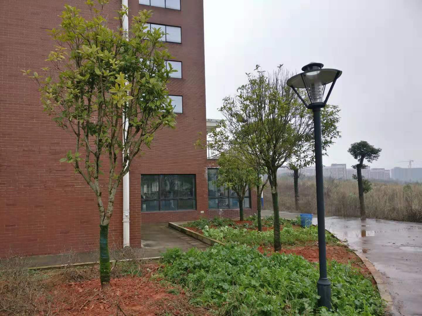 早春种得一抹绿 更待金秋丹桂香|| 后勤处开展春季植树活动 早春种得一抹绿 更待金秋丹桂香|| 后勤处开展春季植树活动