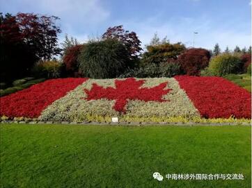 体验加拿大的特殊节日--感恩节 体验加拿大的特殊节日--感恩节
