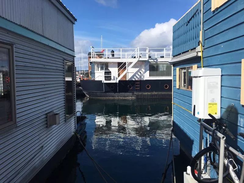 周末你好 周末你好