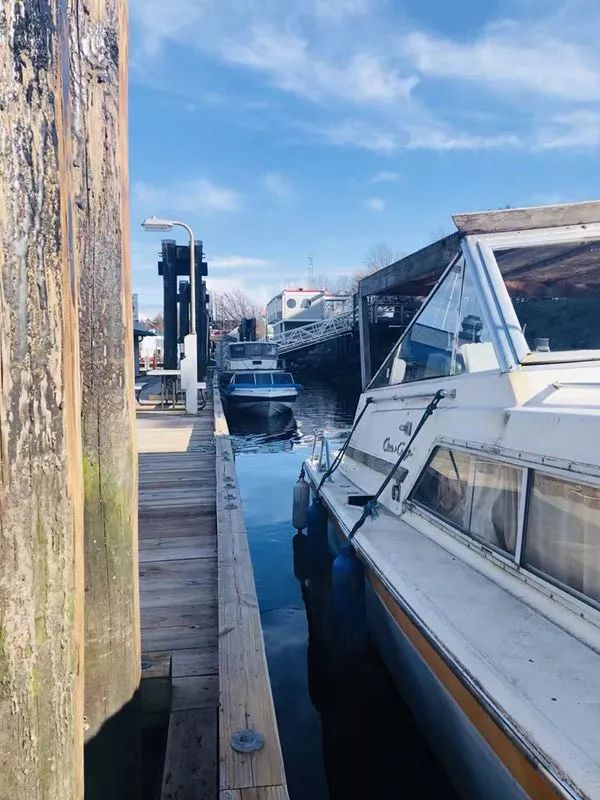 周末你好 周末你好