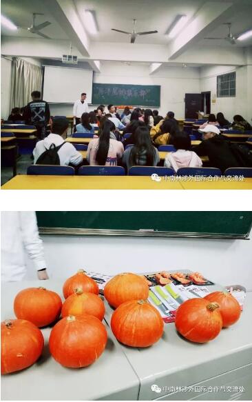 跨洋南瓜灯夜 跨洋南瓜灯夜