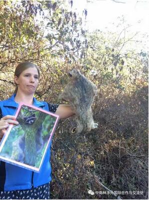 We are arriving Swan Lake We are arriving Swan Lake