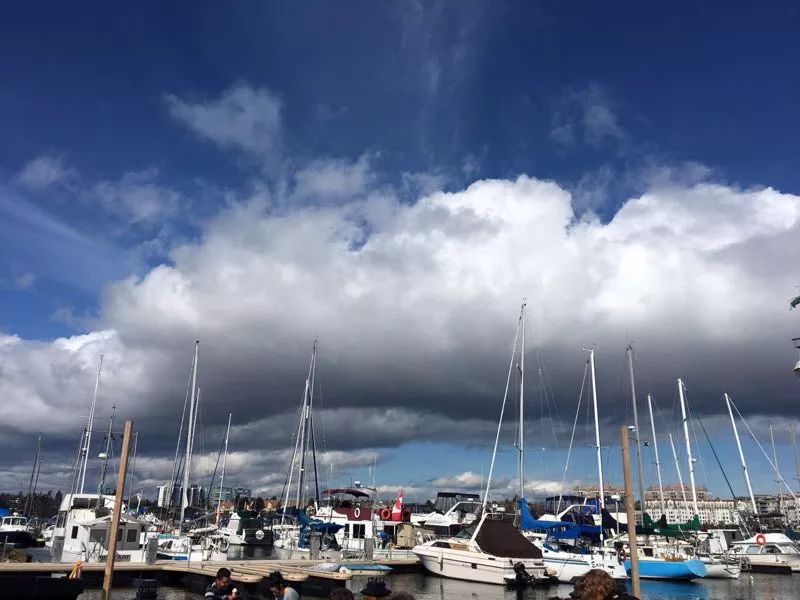 周末你好 周末你好