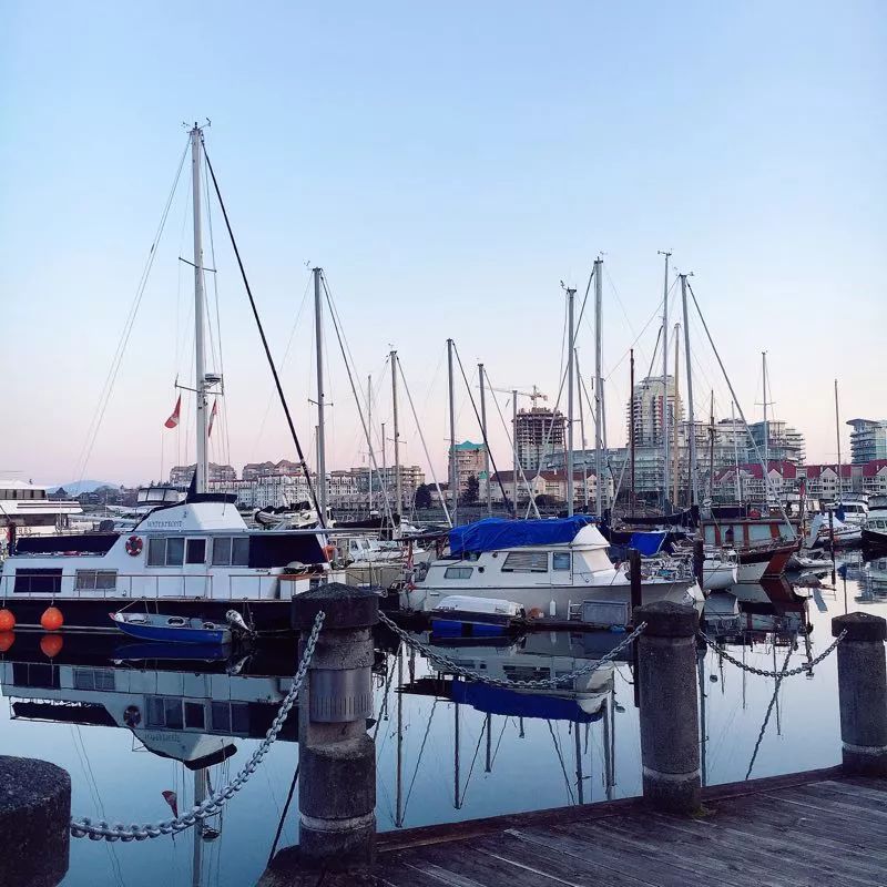 周末你好 周末你好