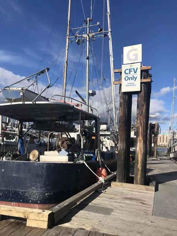 周末你好 周末你好