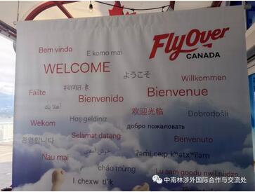 体验加拿大的特殊节日--感恩节 体验加拿大的特殊节日--感恩节