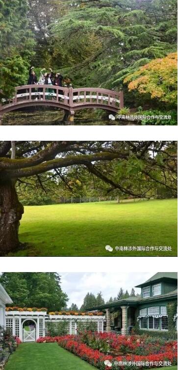 从皇家路德大学开始了精彩的一天 从皇家路德大学开始了精彩的一天