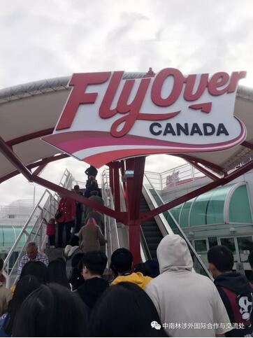 体验加拿大的特殊节日--感恩节 体验加拿大的特殊节日--感恩节