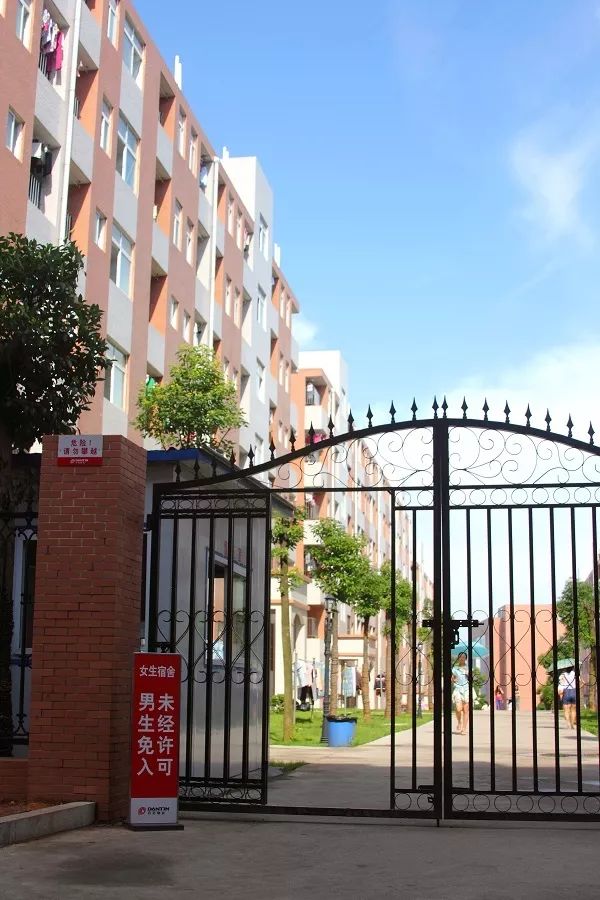 美丽涉外,尽显魅丽——宿舍变化篇 美丽涉外,尽显魅丽——宿舍变化篇