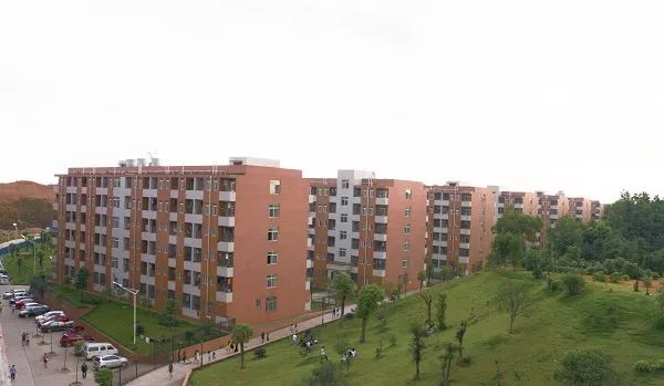 美丽涉外,尽显魅丽——宿舍变化篇 美丽涉外,尽显魅丽——宿舍变化篇