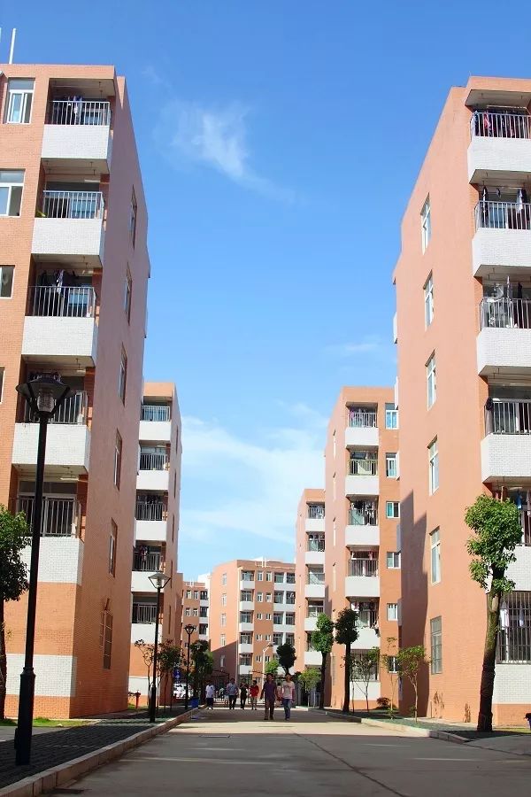 美丽涉外,尽显魅丽——宿舍变化篇 美丽涉外,尽显魅丽——宿舍变化篇