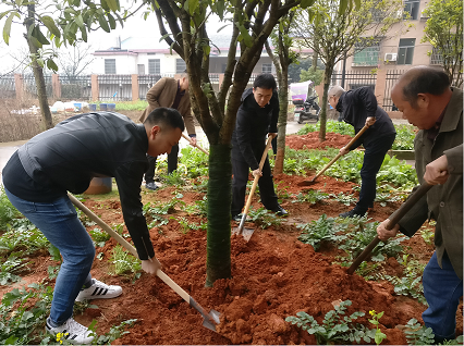 早春种得一抹绿 更待金秋丹桂香| 后勤处开展春季植树活动 早春种得一抹绿 更待金秋丹桂香| 后勤处开展春季植树活动