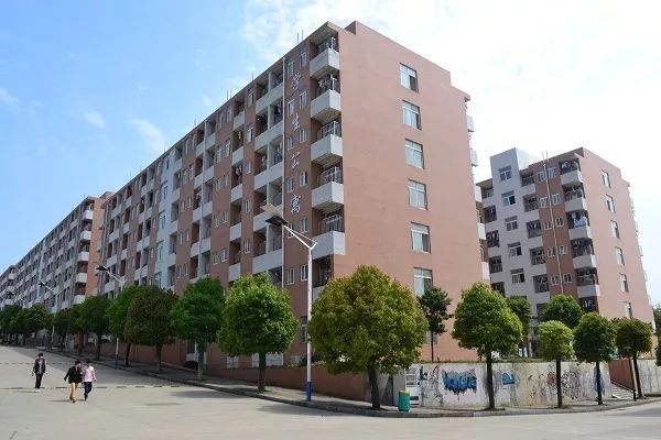 美丽涉外,尽显魅丽——宿舍变化篇 美丽涉外,尽显魅丽——宿舍变化篇