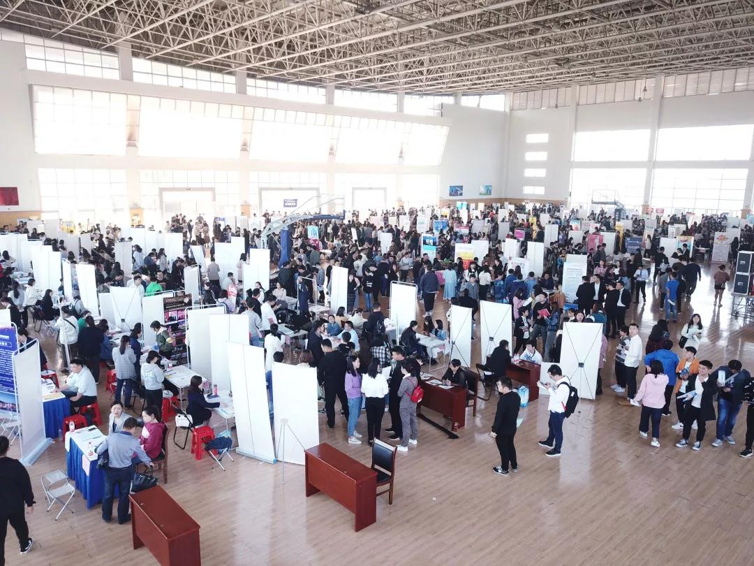 “职”待你来||中南林涉外双选会助你C位出道 “职”待你来||中南林涉外双选会助你C位出道