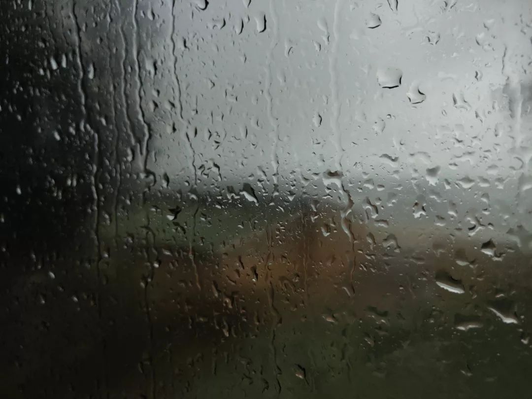 微留学实记||我与它道别时,风正好 微留学实记||我与它道别时,风正好