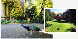 大家好,给大家介绍一下,这是我男朋友。 大家好,给大家介绍一下,这是我男朋友。