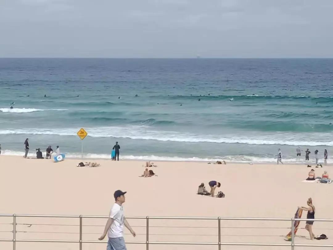 微信图片_20200417075415