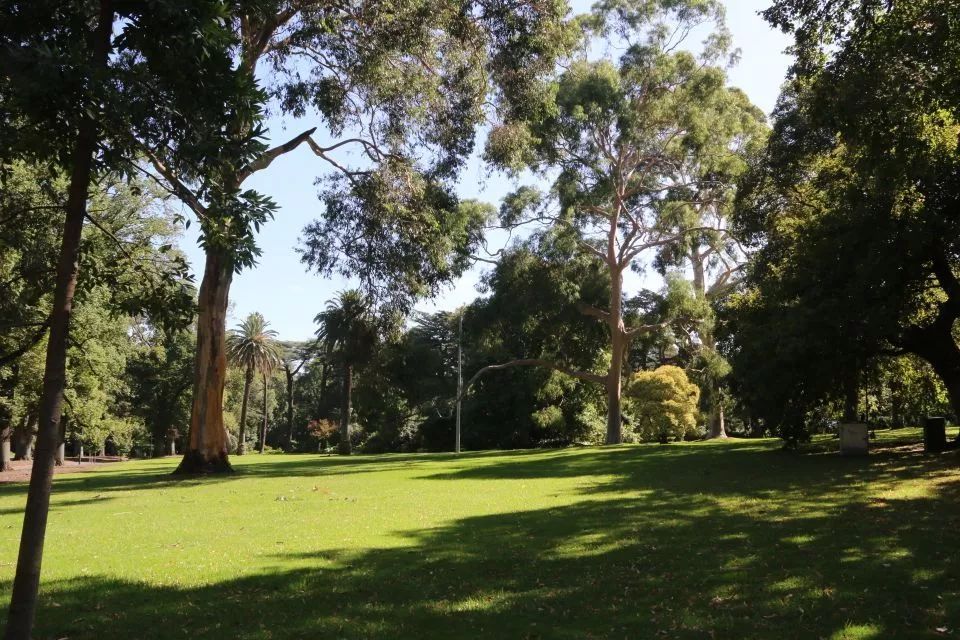 澳洲留学记‖海外寻梦,不负韶华 澳洲留学记‖海外寻梦,不负韶华