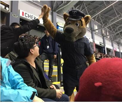 刺激!冰球场上的美加大战震撼上演!——The battle of ice world 刺激!冰球场上的美加大战震撼上演!——The battle of ice world