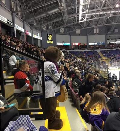 刺激!冰球场上的美加大战震撼上演!——The battle of ice world 刺激!冰球场上的美加大战震撼上演!——The battle of ice world