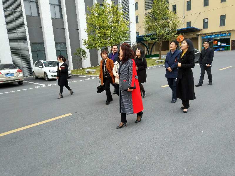 马宗艳一行深入长沙医药健康产业园考察调研
